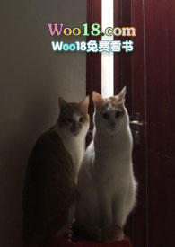 被标记的Alpha超难哄